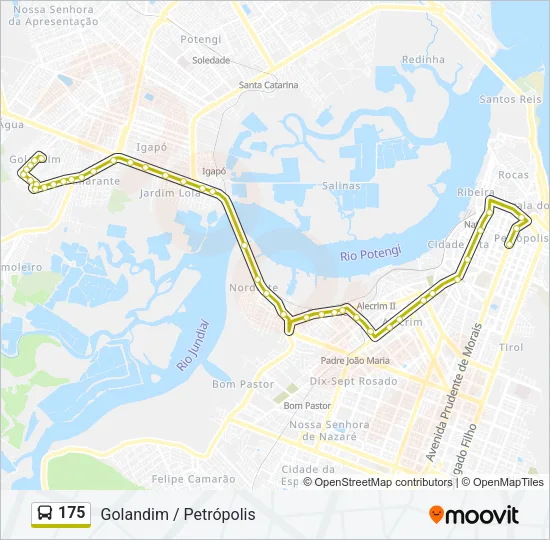 175 Bus Line Map