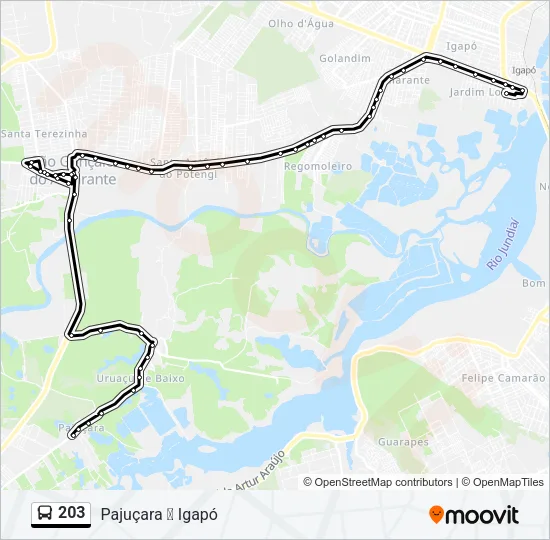 203 Bus Line Map