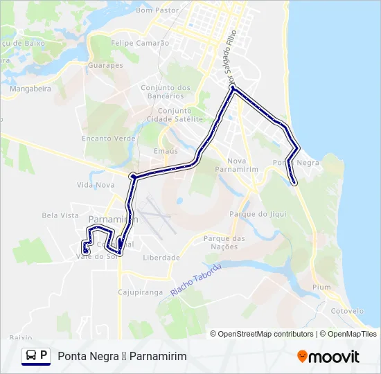 P Bus Line Map