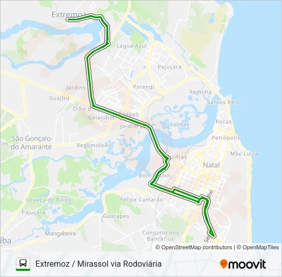 OPCIONAL 1.E1.65 Bus Line Map