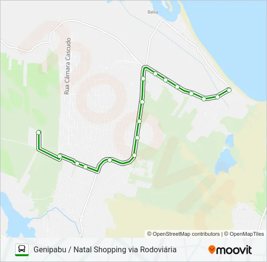 OPCIONAL 163 Bus Line Map