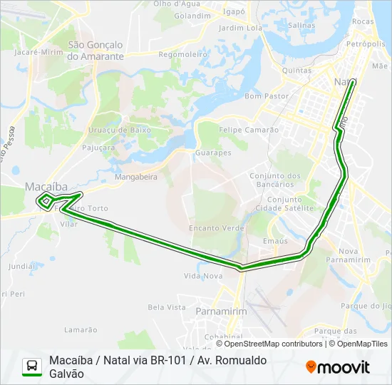 OPCIONAL M Bus Line Map