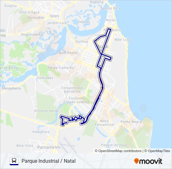 OPCIONAL D bus Line Map