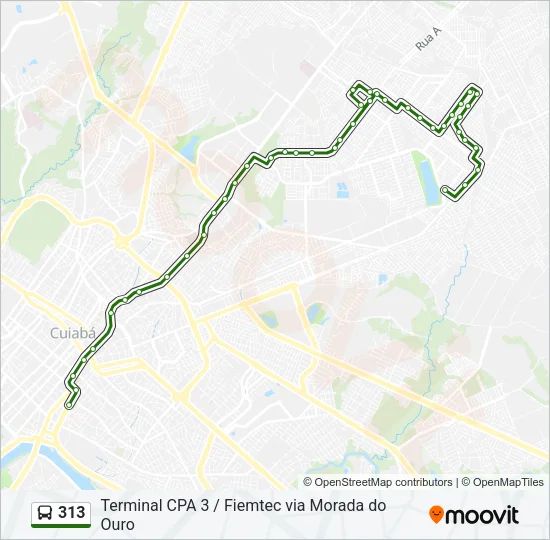 313 Bus Line Map