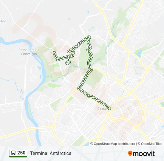 250 Bus Line Map