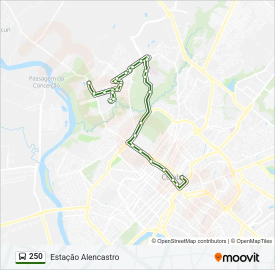250 Bus Line Map