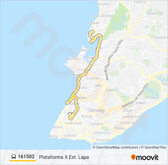 161502 Bus Line Map