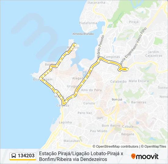 134203 Bus Line Map