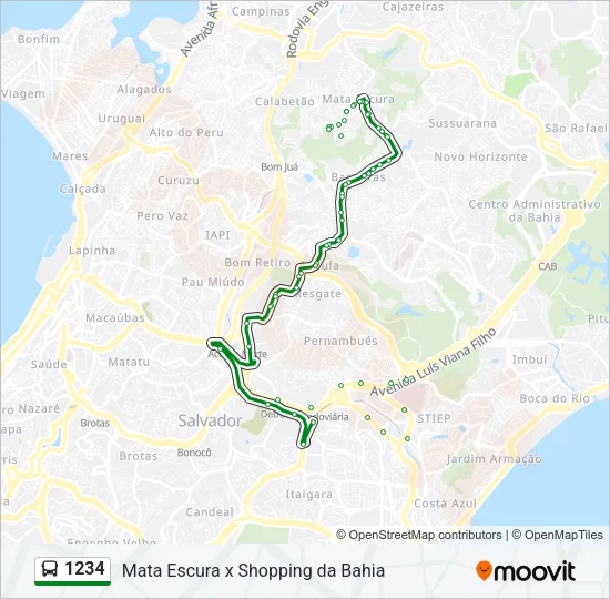 1234 Bus Line Map