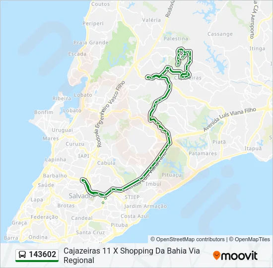 143602 Bus Line Map