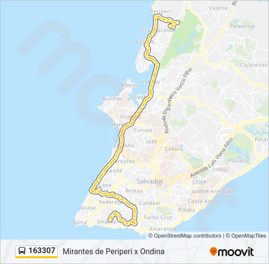 163307 Bus Line Map