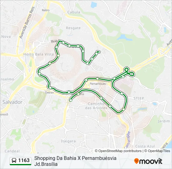 1163 Bus Line Map
