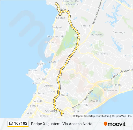 167102 Bus Line Map