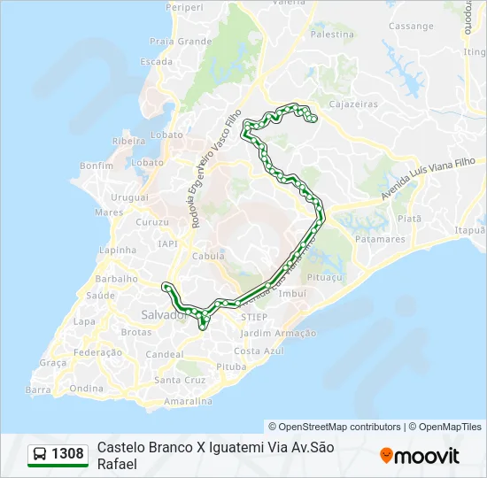 1308 Bus Line Map