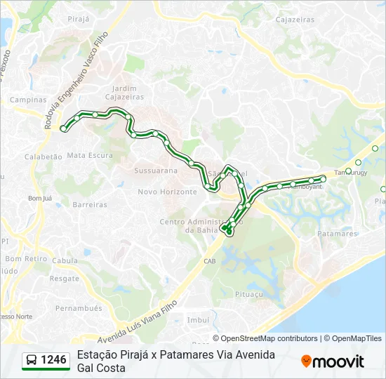 1246 Bus Line Map