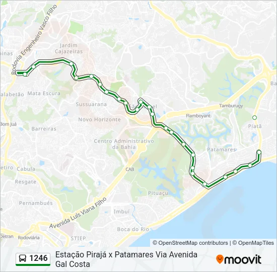 1246 Bus Line Map