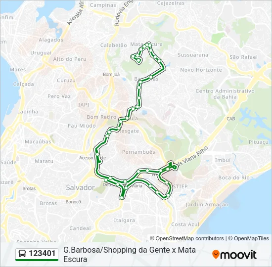 123401 Bus Line Map