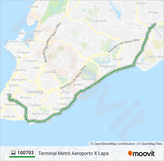 100703 Bus Line Map