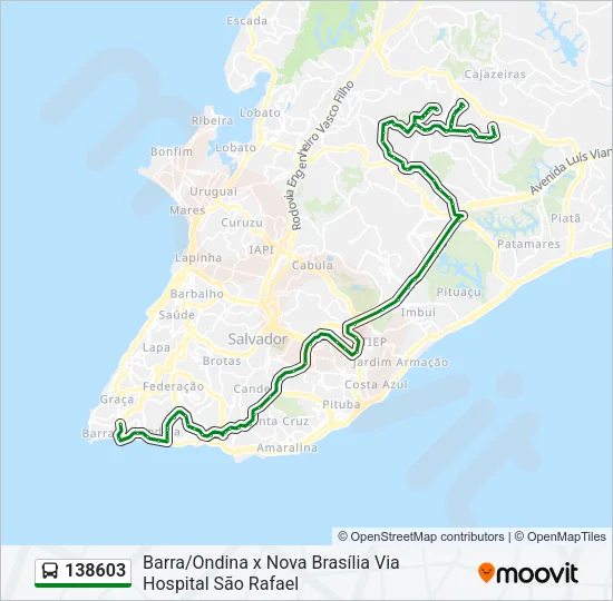 138603 Bus Line Map