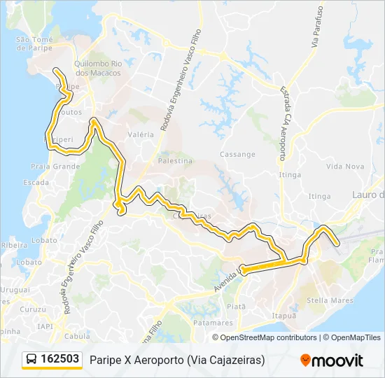 162503 Bus Line Map