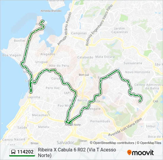 114202 Bus Line Map