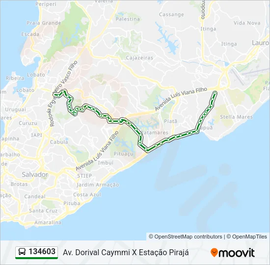 134603 Bus Line Map