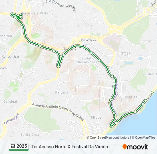 2025 Bus Line Map