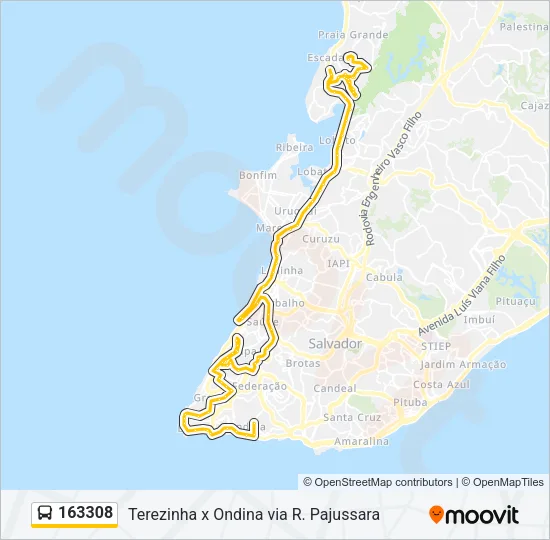 163308 Bus Line Map