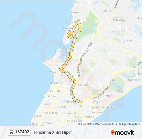 167402 Bus Line Map