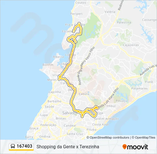 167403 Bus Line Map