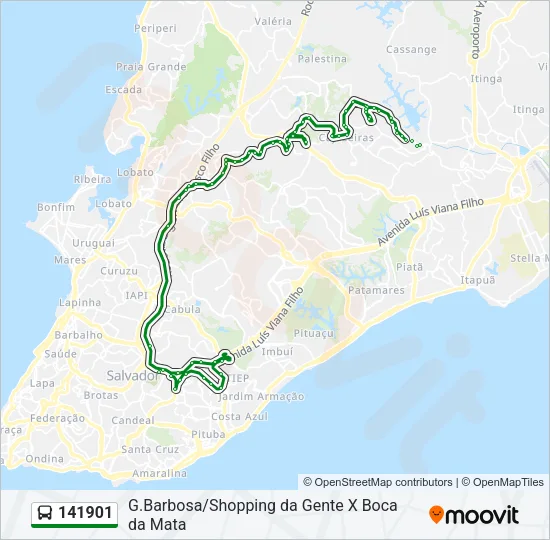 141901 Bus Line Map