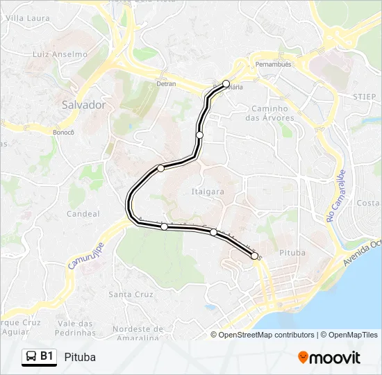 B1 Bus Line Map