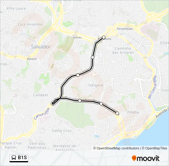 B1S Bus Line Map