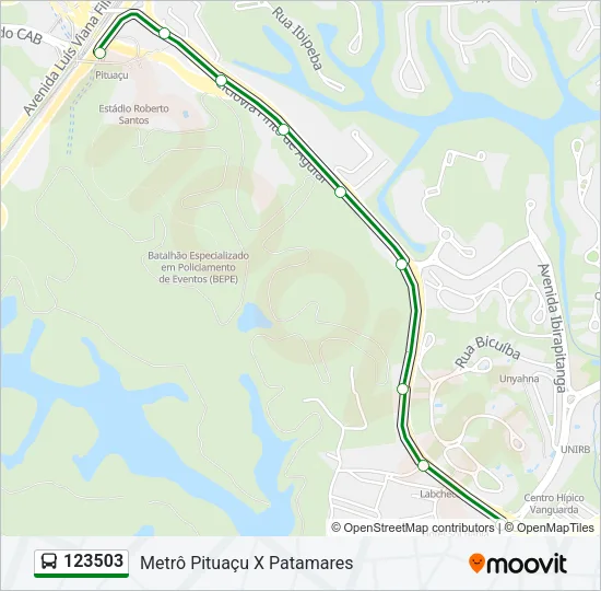 123503 Bus Line Map