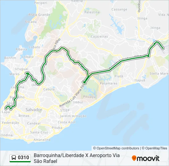 0310 Bus Line Map