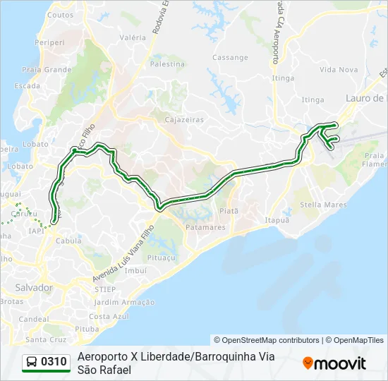 0310 Bus Line Map