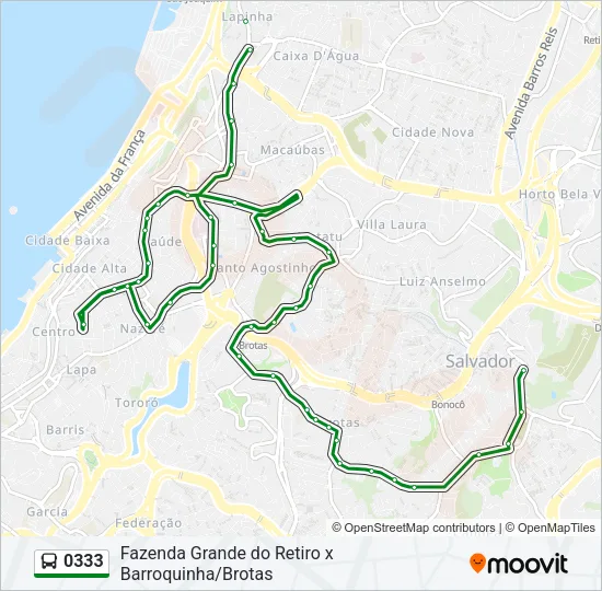 0333 Bus Line Map