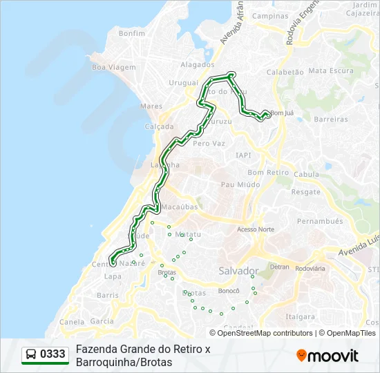 0333 Bus Line Map