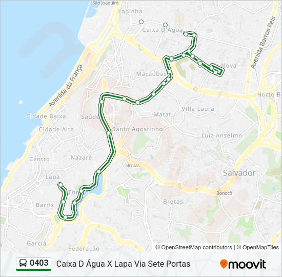 0403 Bus Line Map