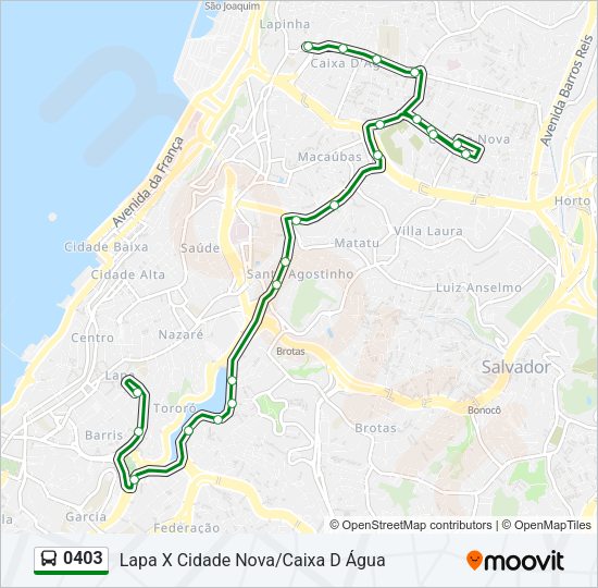 Mapa da linha 0403 de ônibus