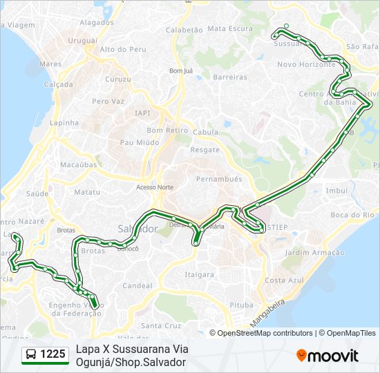 1225 bus Line Map