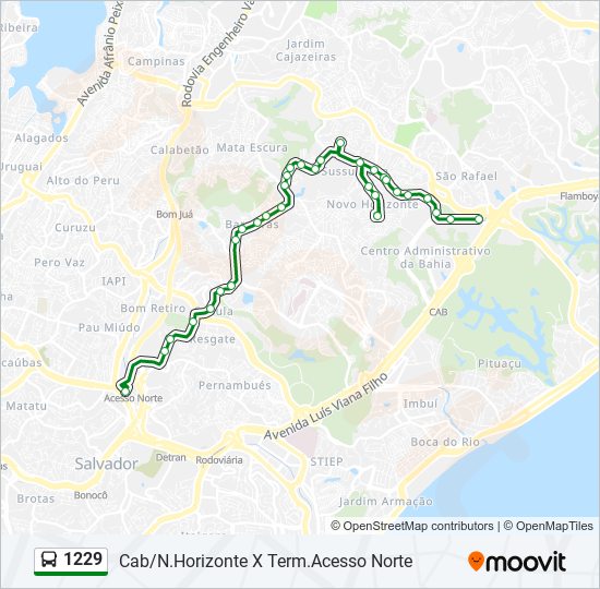 Mapa de 1229 de autobús