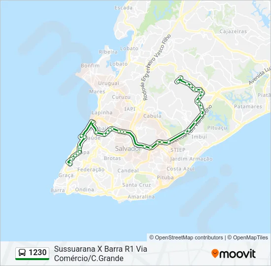 1230 Bus Line Map