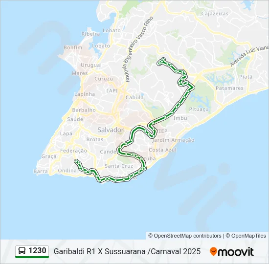 1230 Bus Line Map