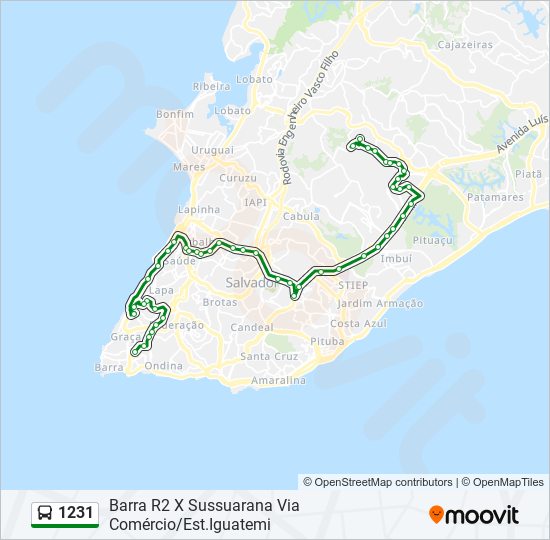 1231 bus Line Map