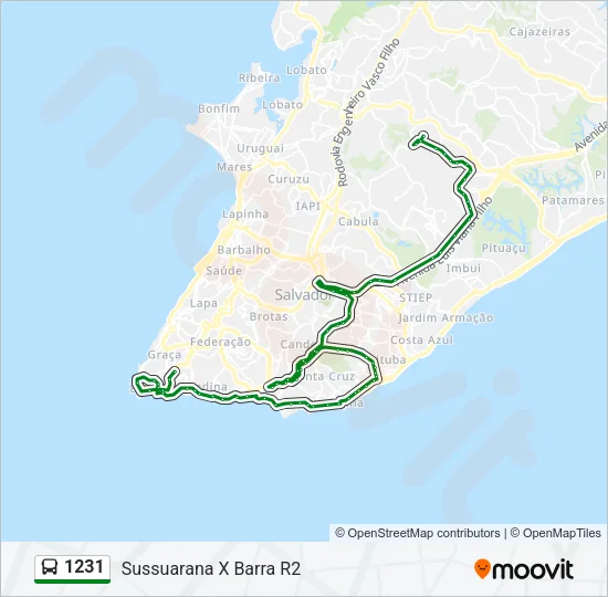 1231 Bus Line Map