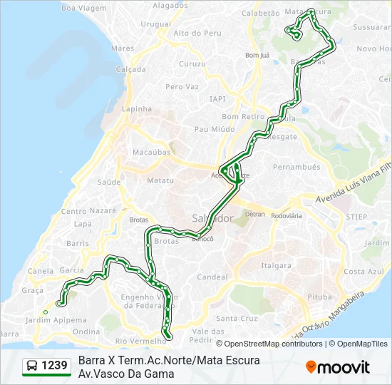 1239 Bus Line Map
