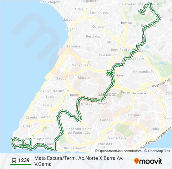 1239 Bus Line Map
