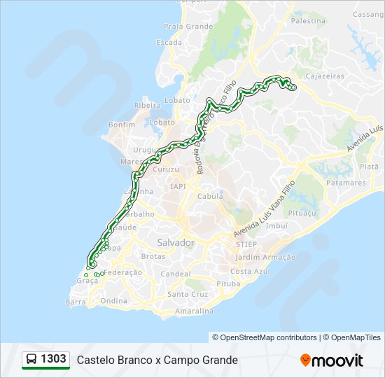 Mapa da linha 1303 de ônibus