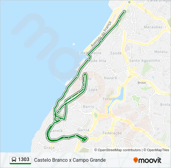 1303 Bus Line Map